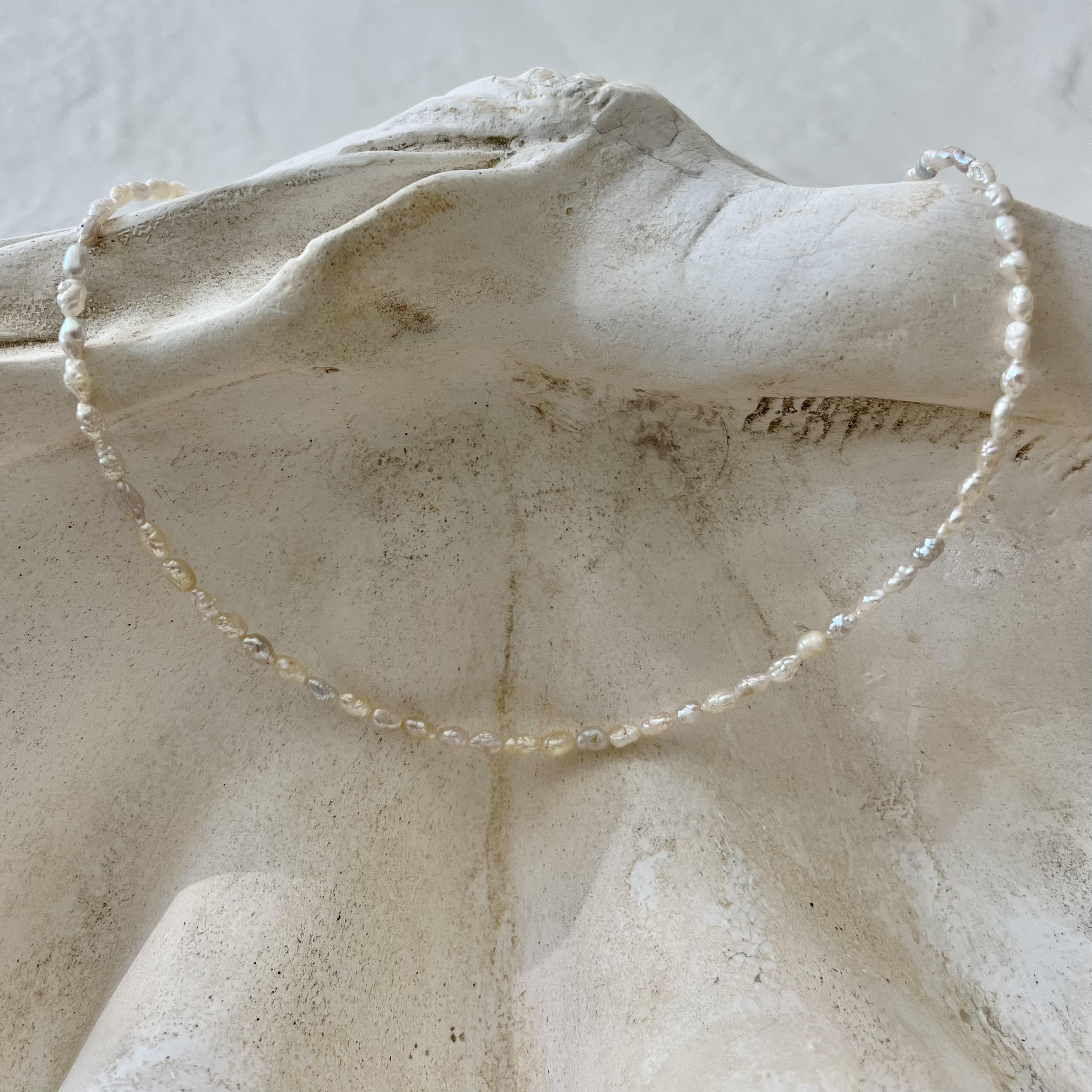 Pucci Pearl Necklace