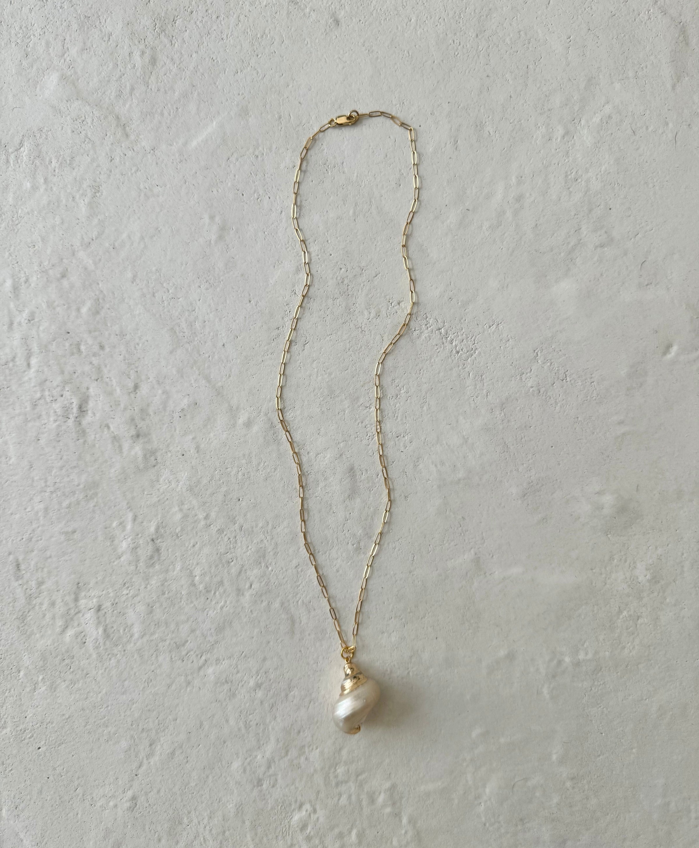 Datile Paperclip Chain Shell Pendant Necklace